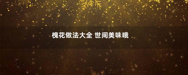 槐花做法大全 世间美味哦